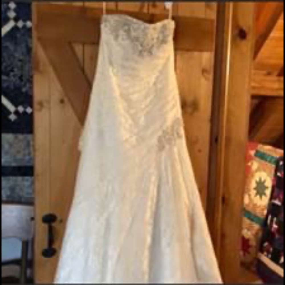 David’s bridal wedding dress